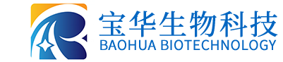 时搏网页版